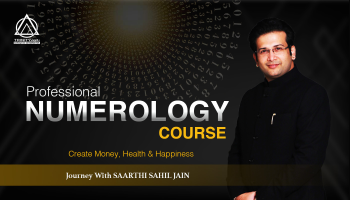 PROFESSIONAL NUMEROLOGY  COURSE