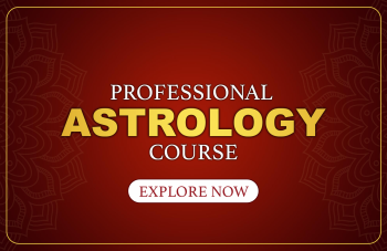 PROFESSIONAL ASTROLOGY