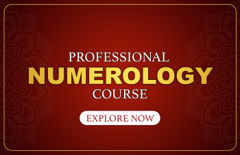 PROFESSIONAL NUMEROLOGY